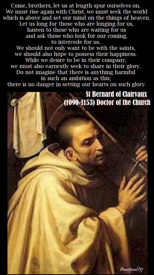 come brothers - st bernard - 7 nov 2017