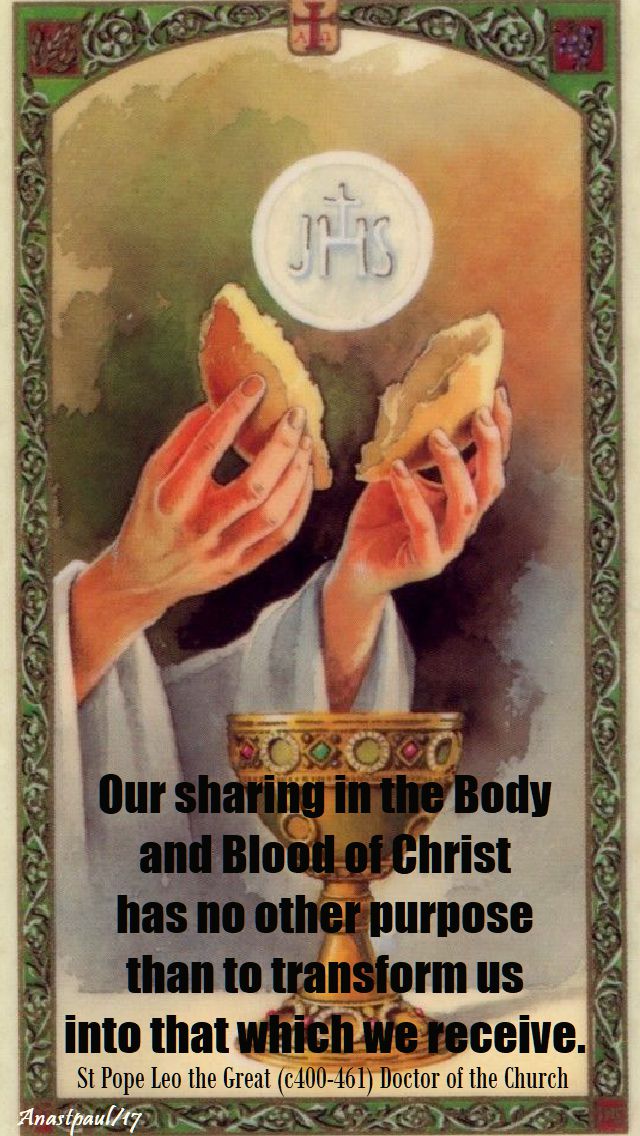 our sharing in the body - st leo - 10 nov 2017