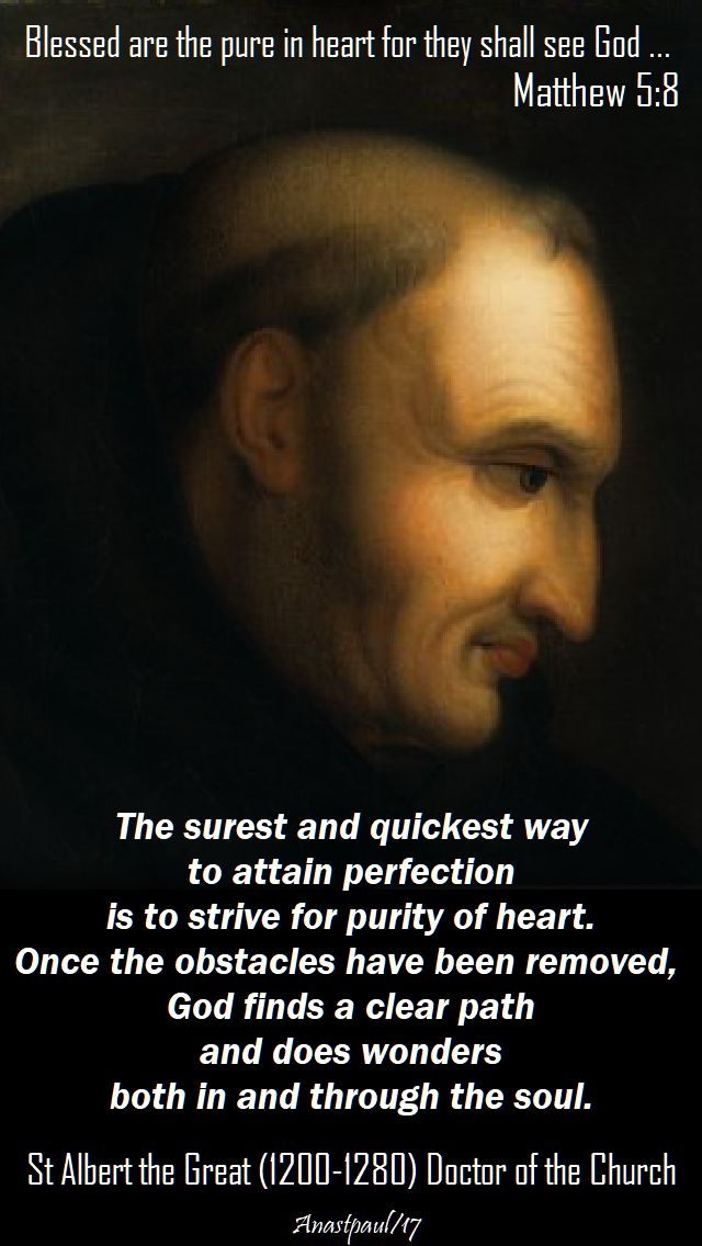 the surest and quickest way - st albert the great - 15 nov 2017