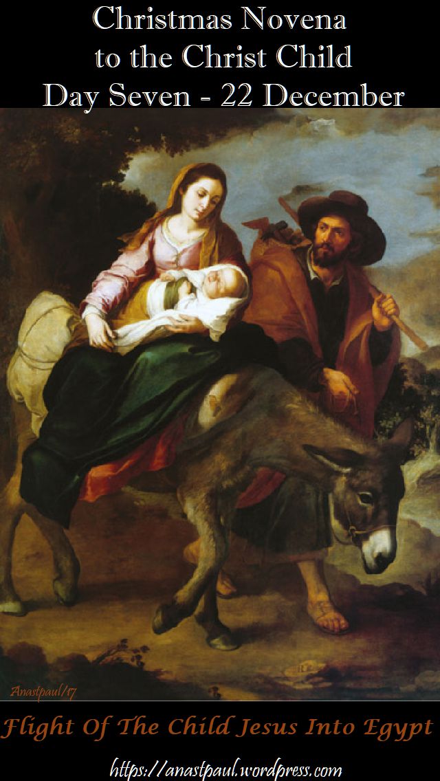 DAY SEVEN NOVENA TO THE CHRIST CHILD - 22 DEC 2017