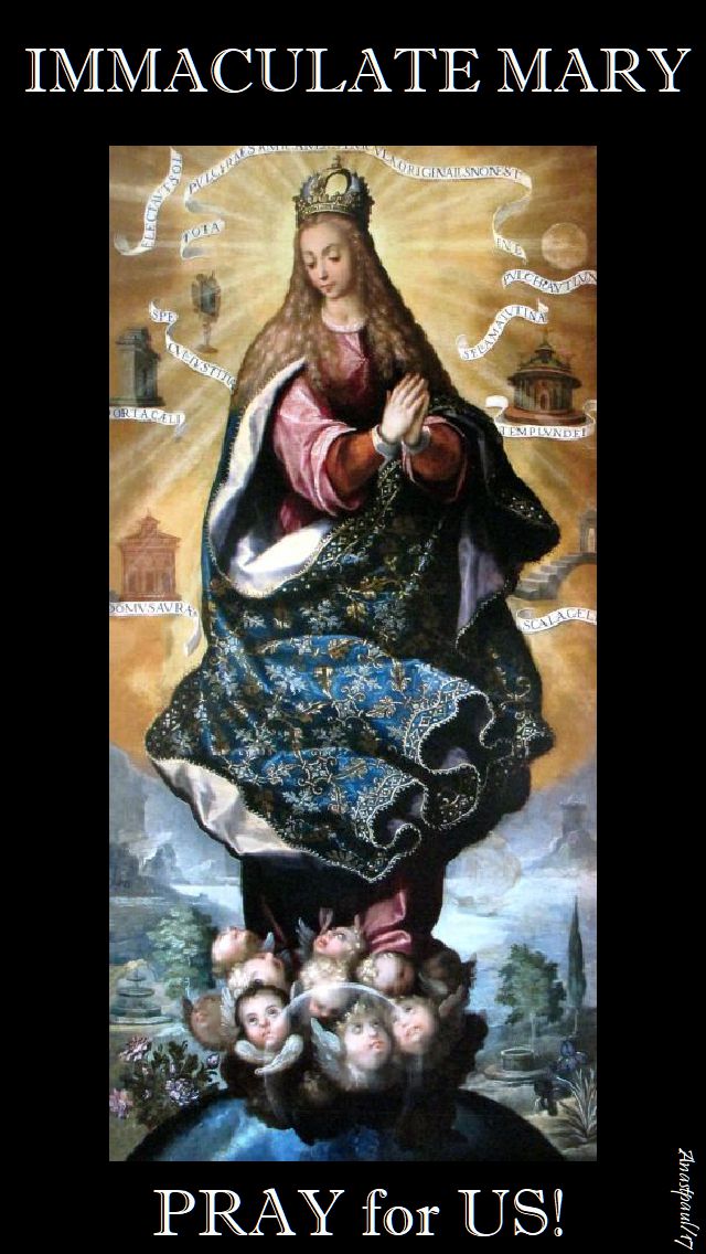 immaculate mary - pray for us