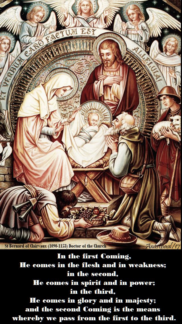 in the first coming - st bernard - 3 dec 2017