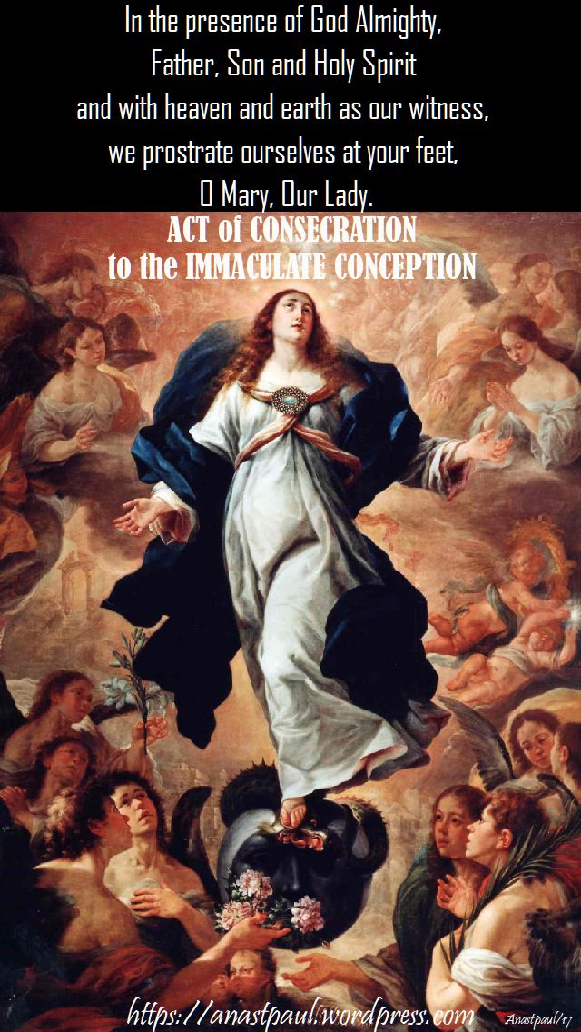 in the presence of god almight - act of consecration immaculate conception - 8 dec 2017