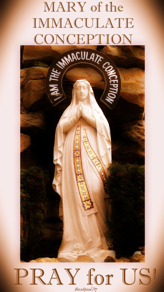 mary of the immaculate conception pray for us