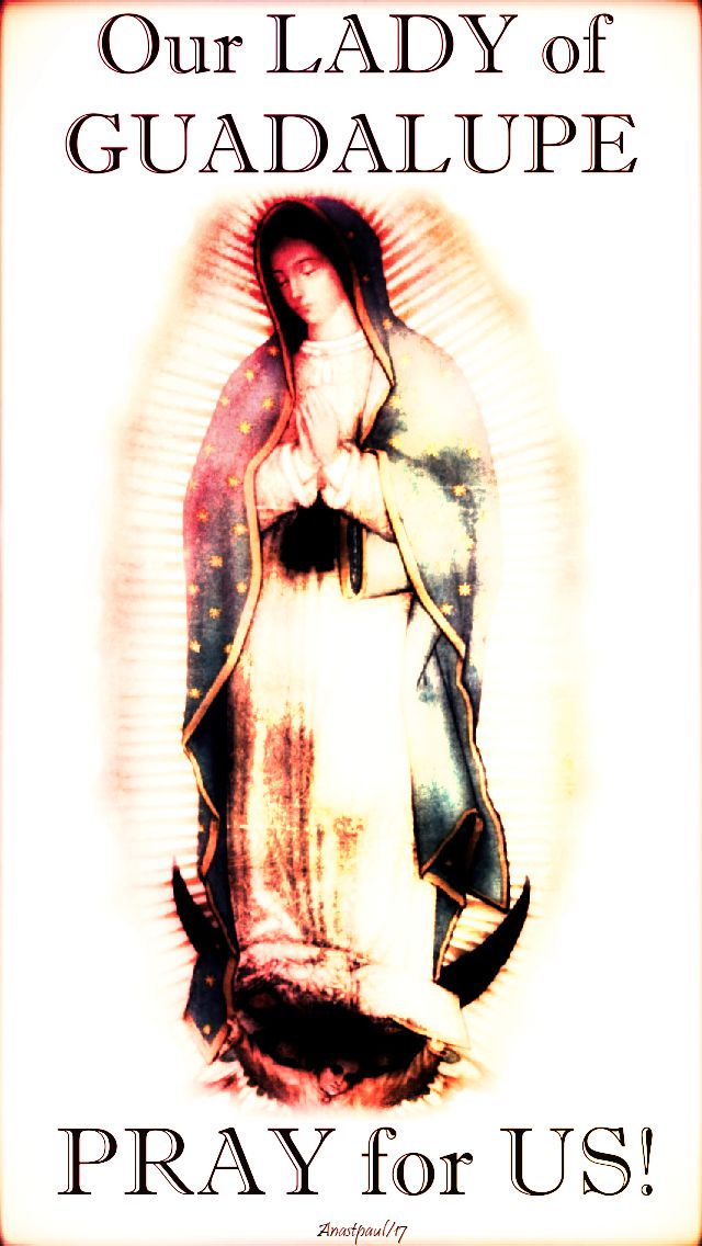our lady of guadalupe pray for us no 2 - 12 dec 2017