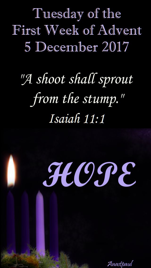 Tuesday of the first week of advent - 5 dec 2017