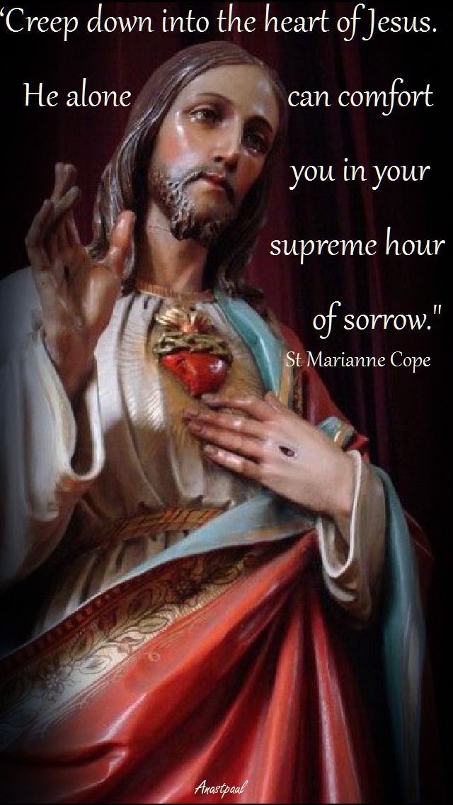 creep down into the heart of Jesus - st marianne cope - 2017