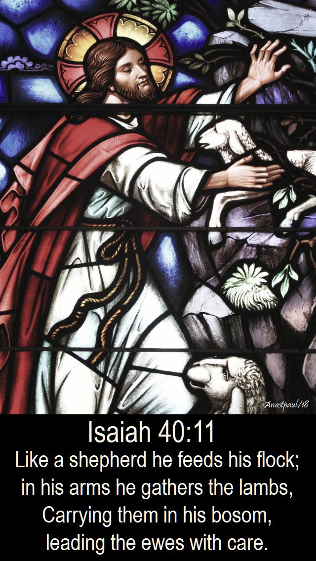 isaiah 40 11