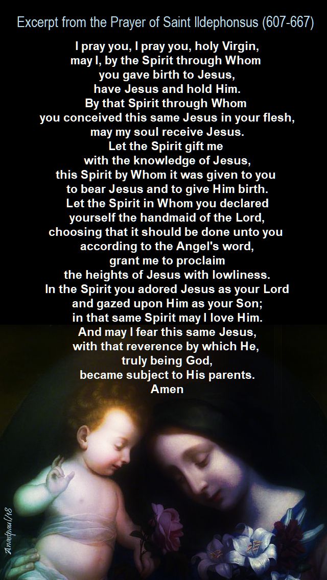 prayer of st ildephonsus - 23 jan 2018