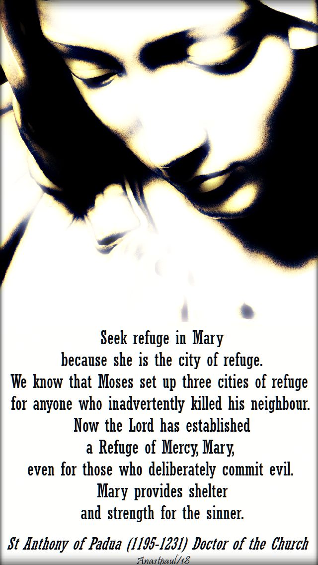 seek refuge in mary - st anthony - 15 jan 2018