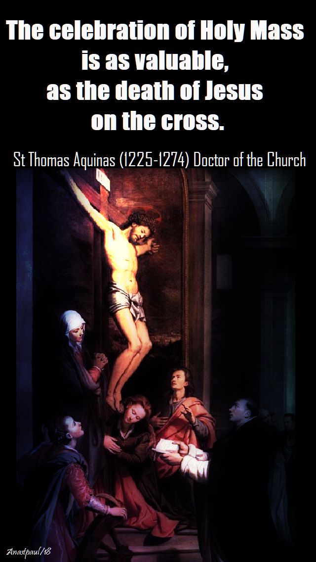 the celebration of holy mass - st thomas aquinas - 28 jan 2018