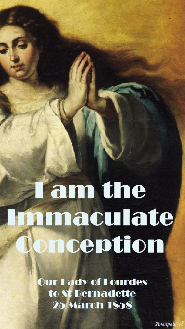 i am the immaculate conception - 11 feb 2018