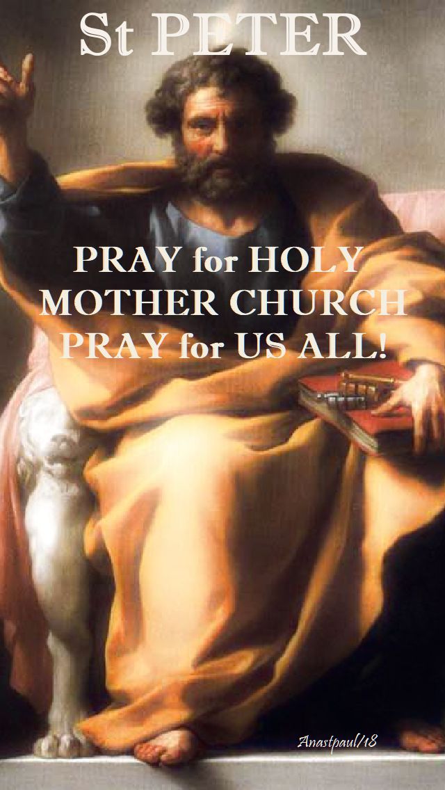 st peter - pray for us - 22 feb 2018