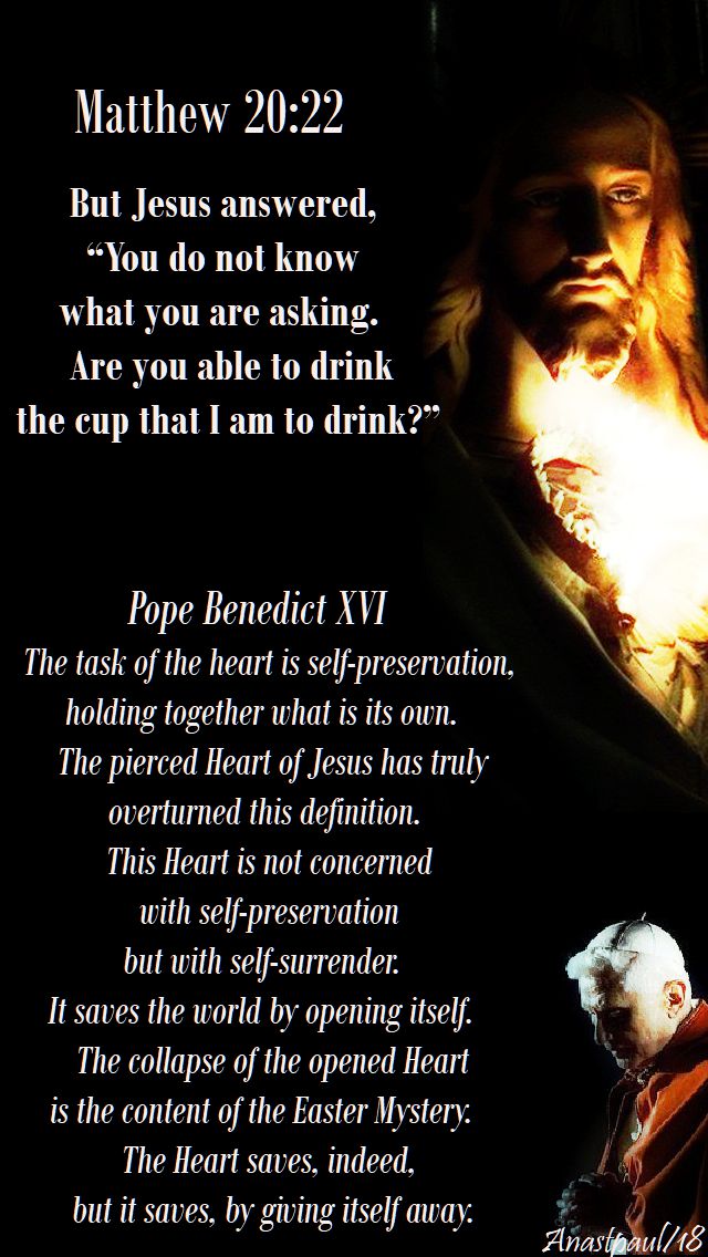 the task of the heart is self-preservation - pope benedict xvi - 28 feb 2018