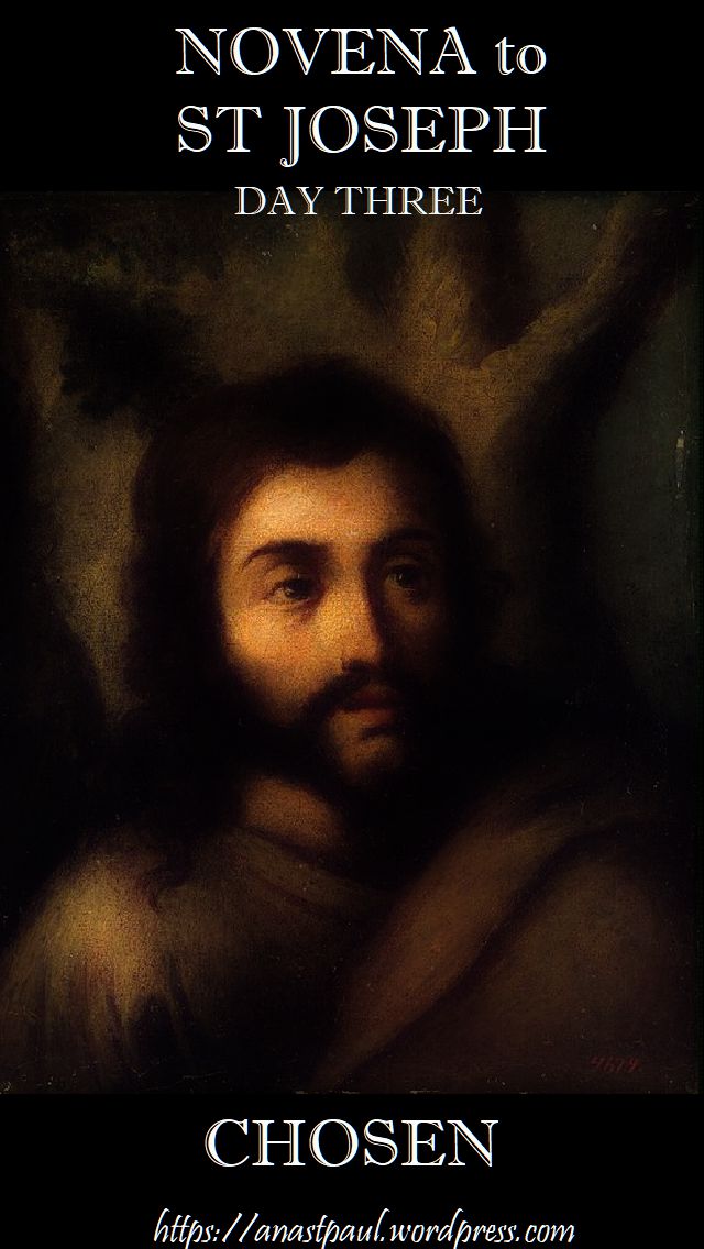 NOVENA TO ST JOSEPH - DAY THREE - 12 MARCH - CHOSEN
