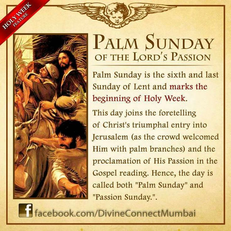 palm sunday.info