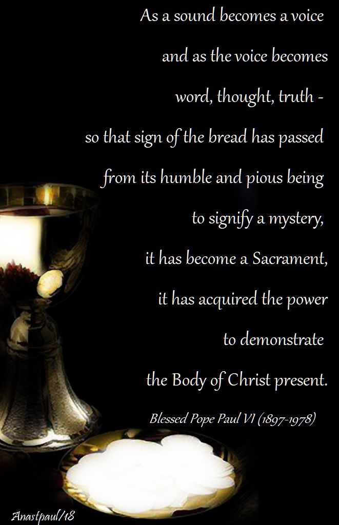 as a sound becomes a voice - paul VI - 15 april 2018 - sunday reflection