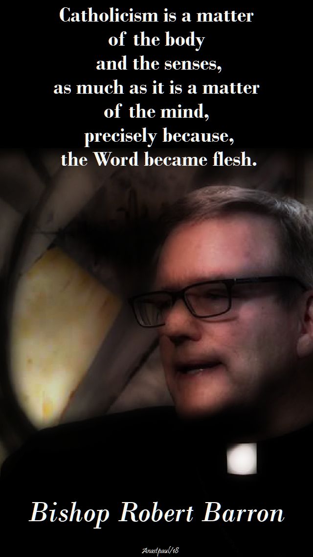 catholicism is a matter - bishop barron - 25 april 2018