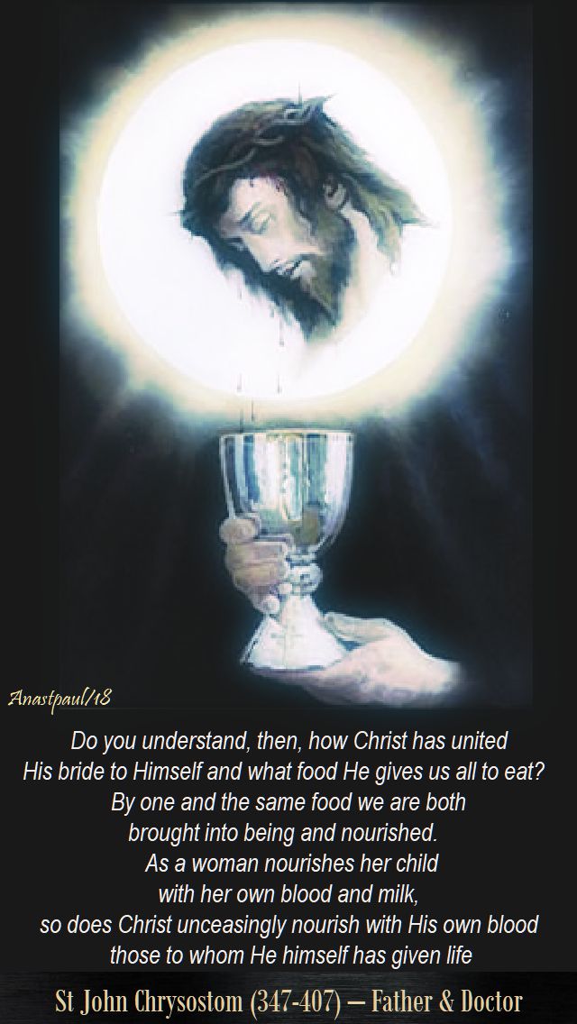 do you understand then, how christ has united His bride to Himself - st john chrysostom - 22 april 2018 - sunday reflection