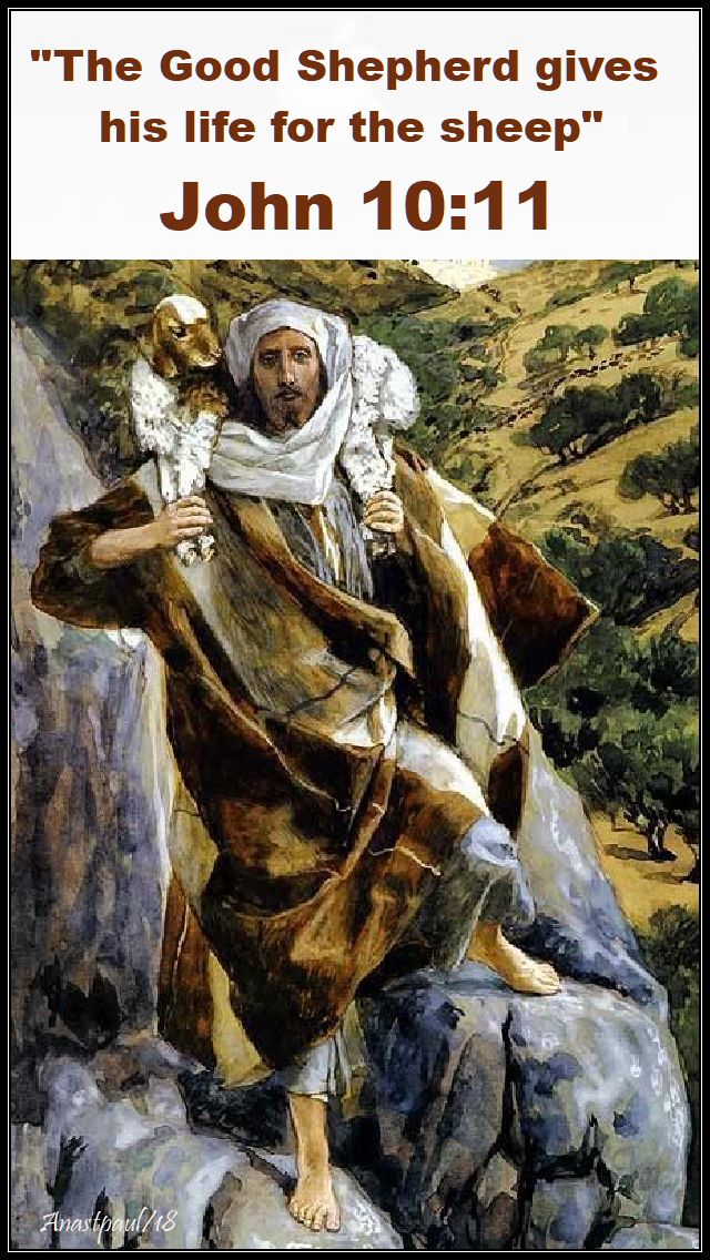 john 10 11 - good shepherd no 2