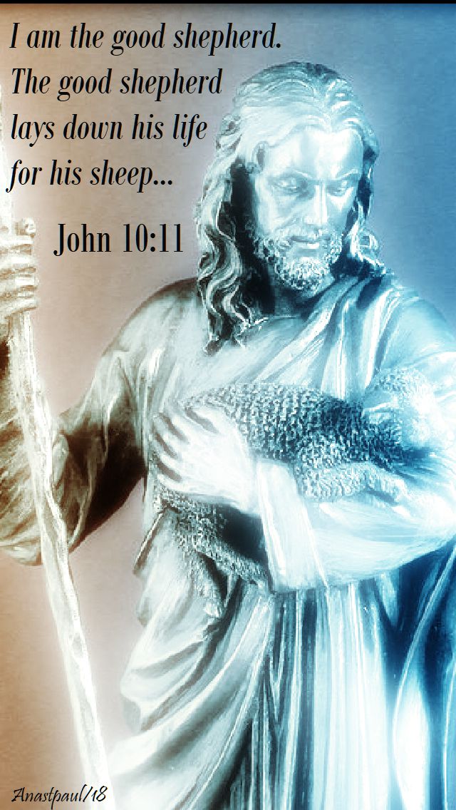 john 10 11 - the good shepherd