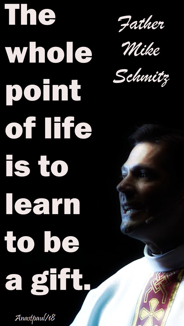 the whole point of life - fr mike schmitz - 23 april 2018
