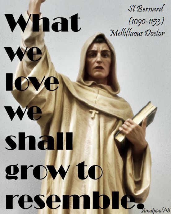 what we love - st bernard - 23 april 2018