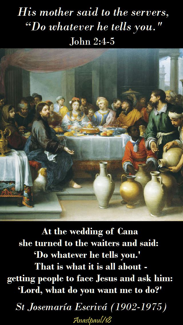 at the wedding of cana - st josemaria escriva - 15 may 2018