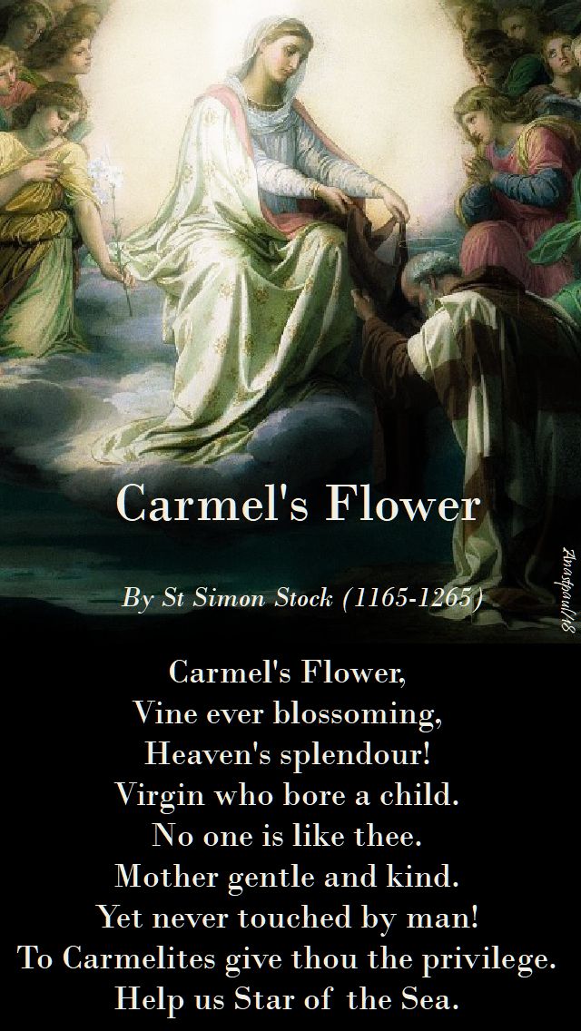 carmel's flower - st simon stock - 16 may 2018