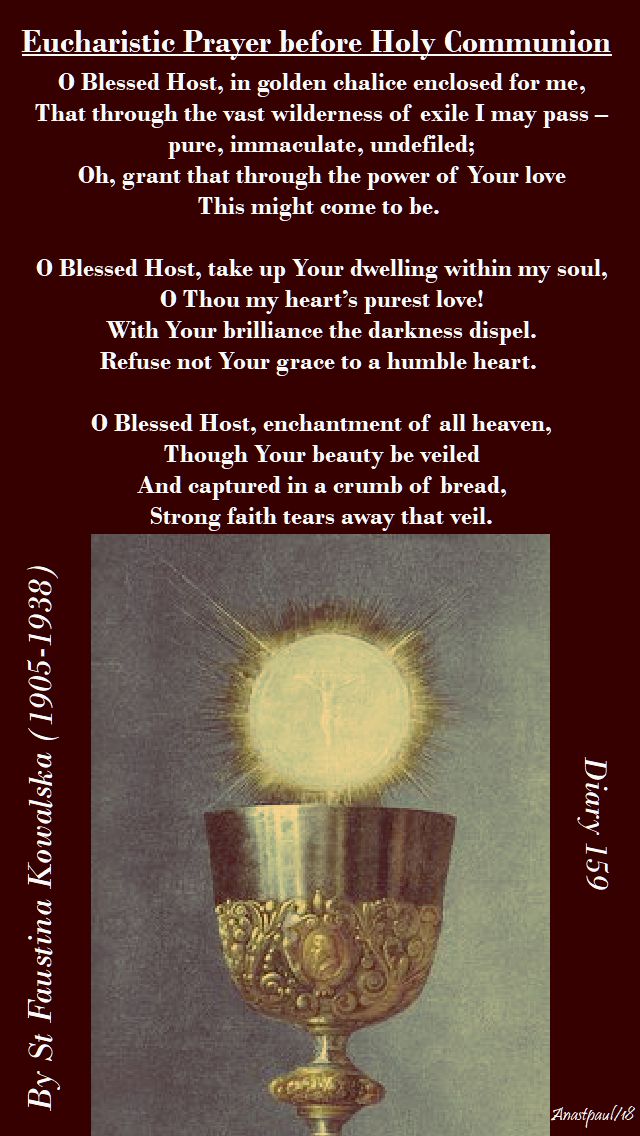 eucharistic prayer before holy comm - st faustina - o blessed host - 13 may 2018 - sunday reflection.jpg