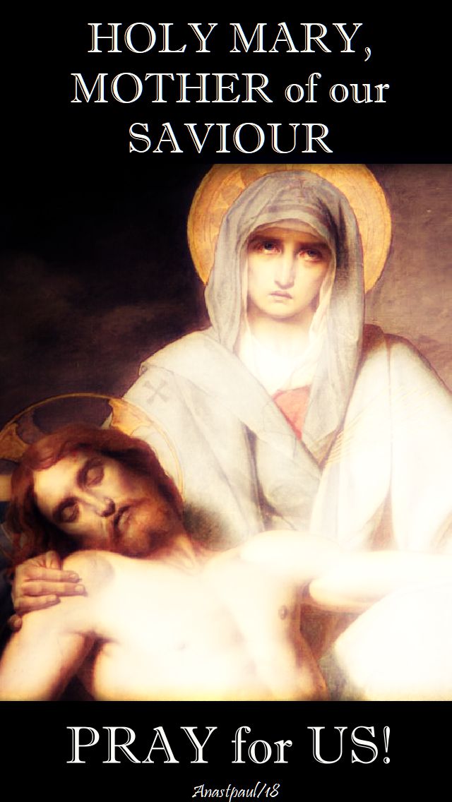 holy mary mother of our saviour, pray for us - 17 may 2018