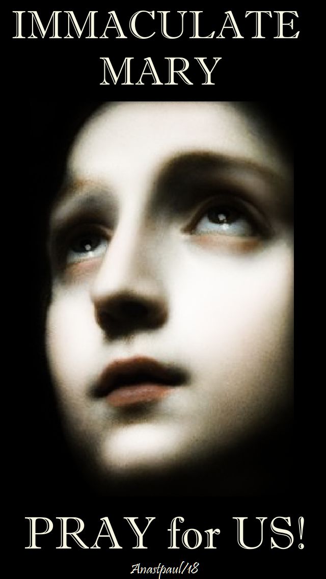 immaculate mary - pray for us - 5 may 2018