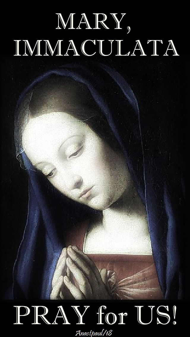 mary, immaculata - pray for us - 12 may 2018