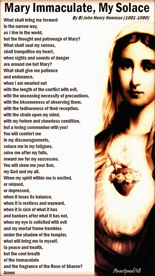 mary immaculate my solace - bl john henry newman no 2- 14 may 2018