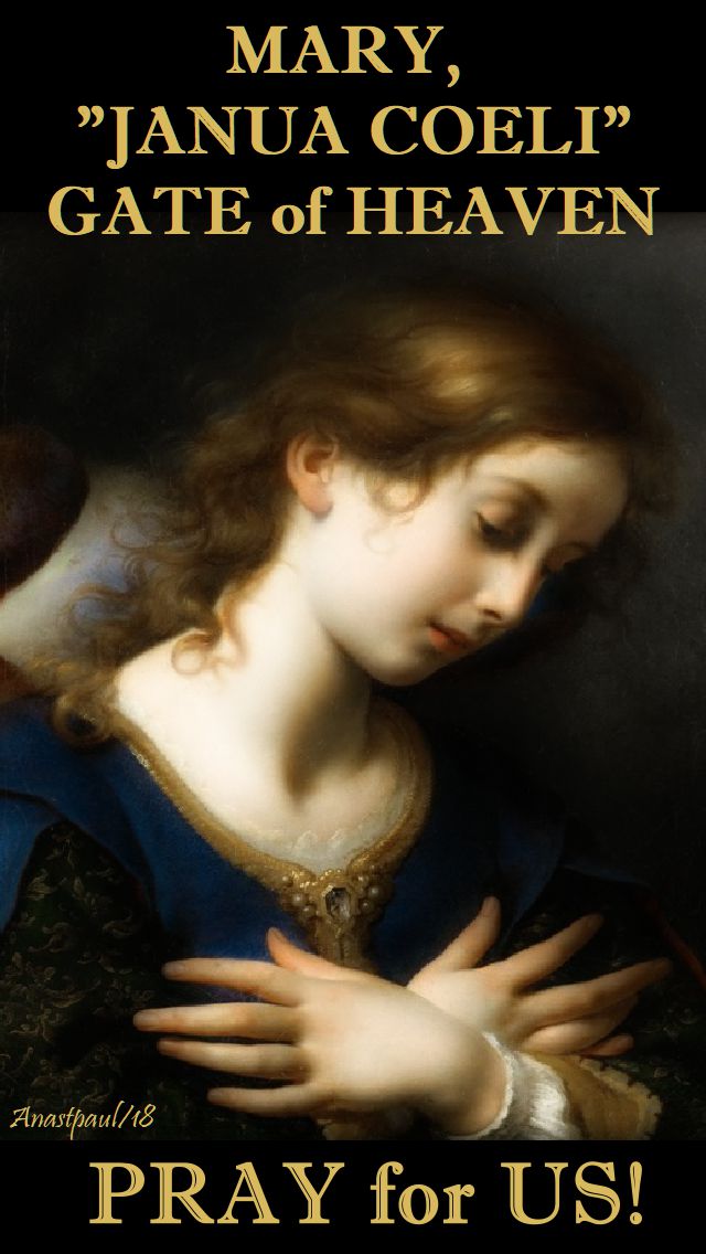 MARY JANUA COELI - GATE OF HEAVEN - BL JOHN HENRY NEWMAN - PRAY FOR US - 13 MAY 2018