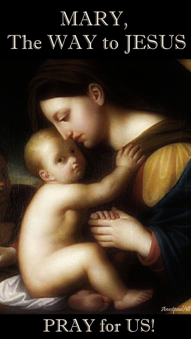 mary the way to jesus - pray for us - 26 may 2018