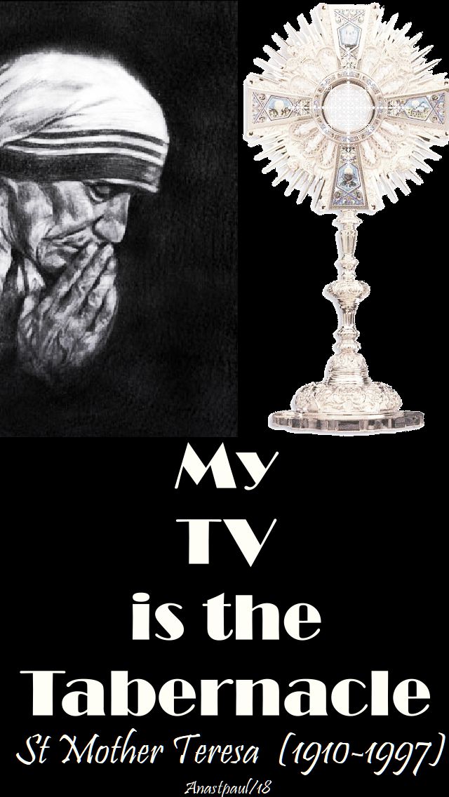 my tv is the tabernacle - st mother teresa - 12 may 2018
