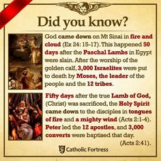 Pentecost info 2 catholic fortress