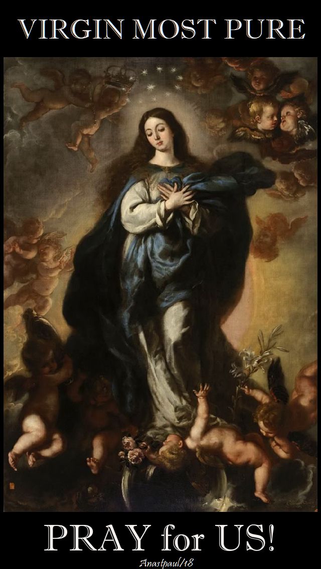 virgin most pure - pray for us - 3 may 2018