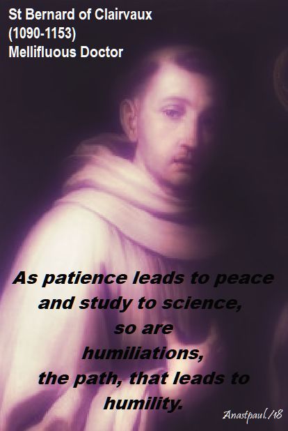 as patience leads to peace - st bernard - 20 june 2018
