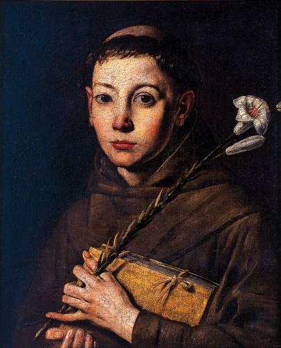 HEADER 2 - Tanzio SantAntonio