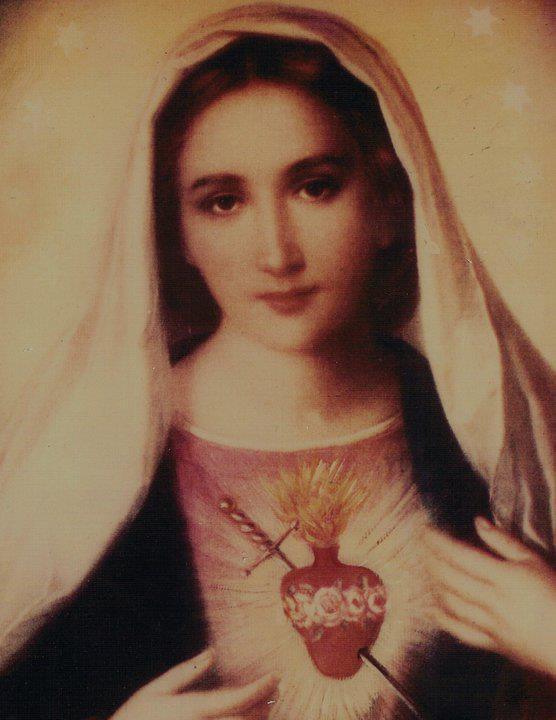 immaculate-heart-of-mary