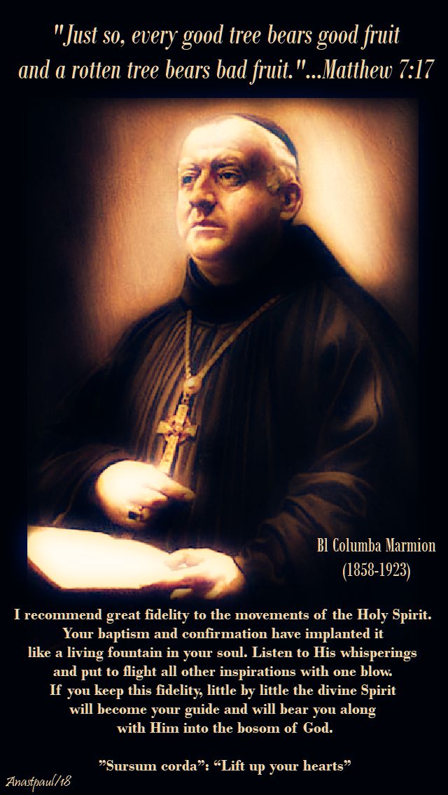 matthew 7-17 just so, every good tree - bl columba marmion - I recommend great fidelity - 27 june 2018