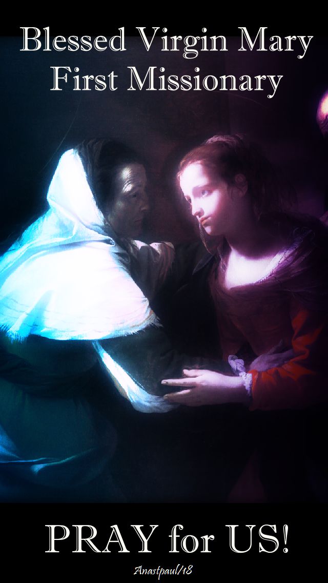 blessed virgin mary - first missionary - pray for us - 16 july 2018