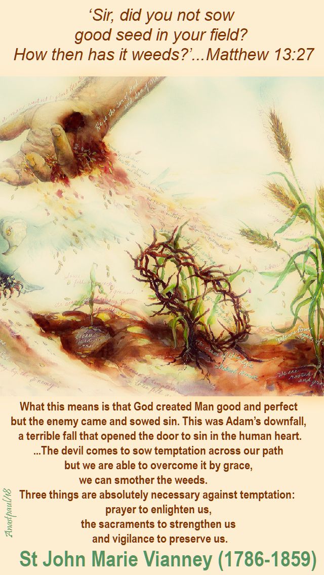 good seed and weeds - matthew 13 27 - what this means is that god - st john vianney - 28 july 2018