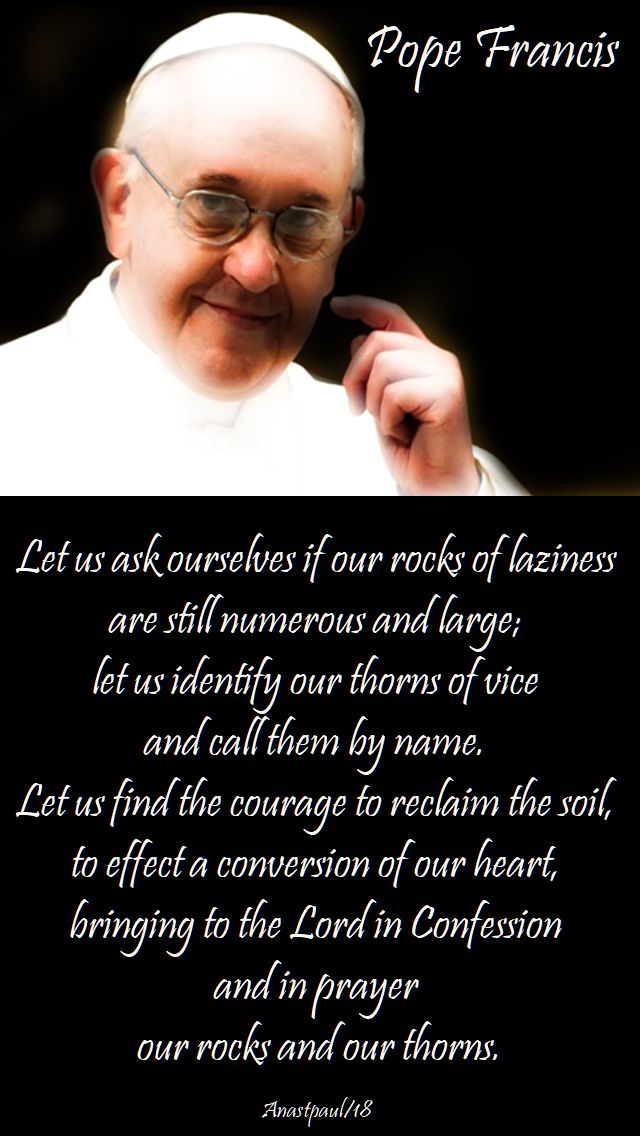 let us ask ourselves if our rocks of laziness - pope francis - 27 july 2018