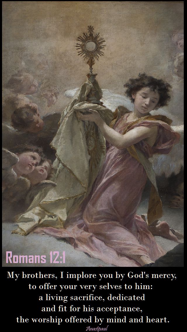 romans-12-1 - my brothers I implore you by God's mercy - 31 july 2017