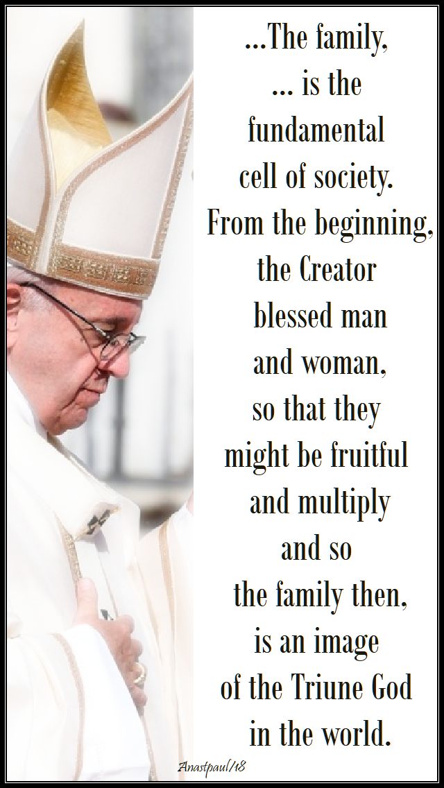 the family is the fundamental - pope francis - 8 july 2018