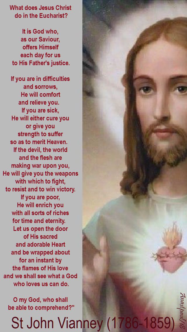 what does jesus christ do in the eucharist - sun reflection - 8 july 2018 -no 2 LARGER st john vianney