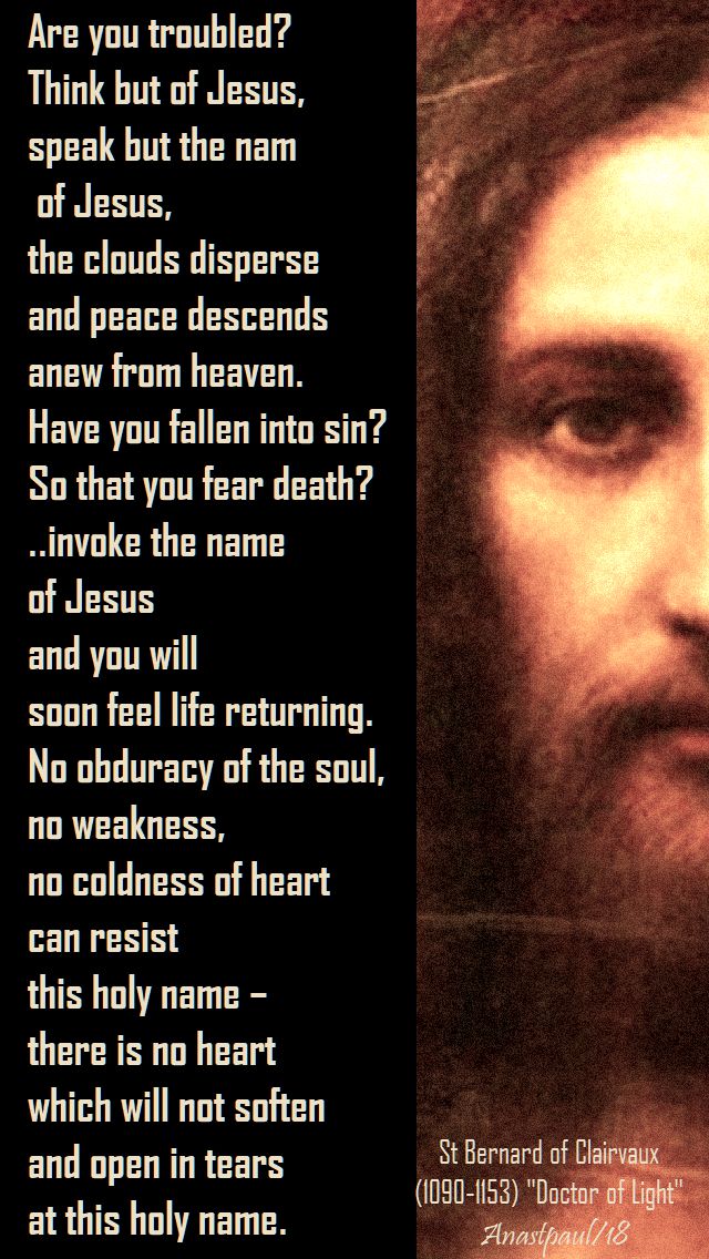 are you troubled - st bernard - 20 aug 2018